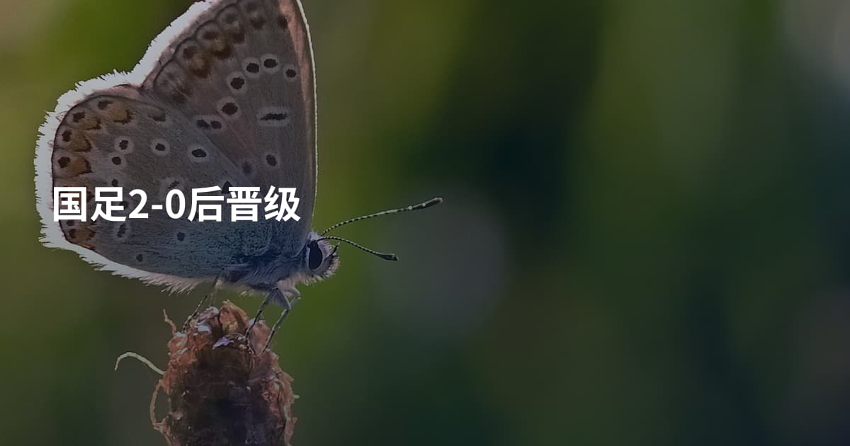国足2-0后晋级