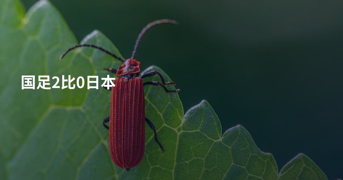 国足2比0日本