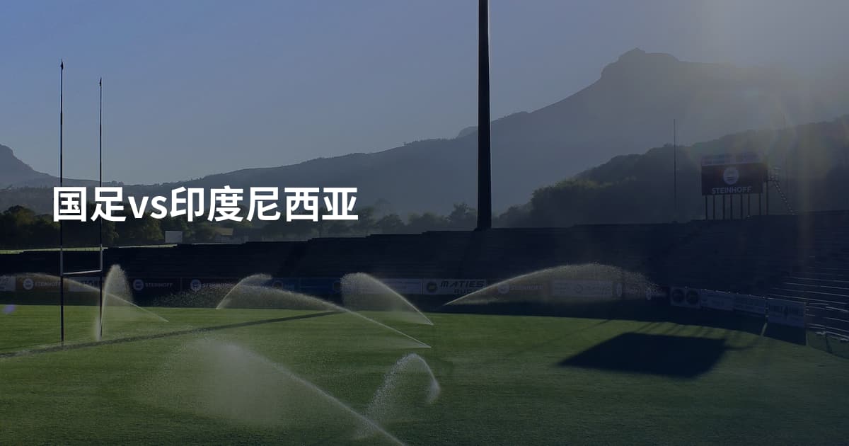 国足vs印度尼西亚