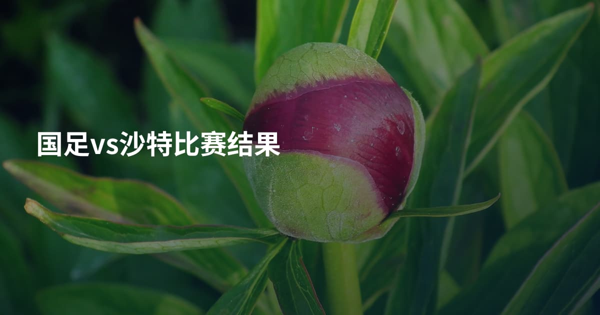 国足vs沙特比赛结果