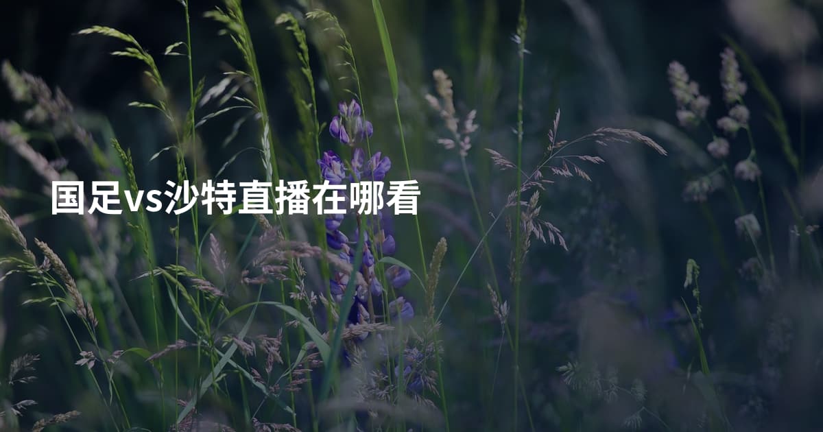 国足vs沙特直播在哪看