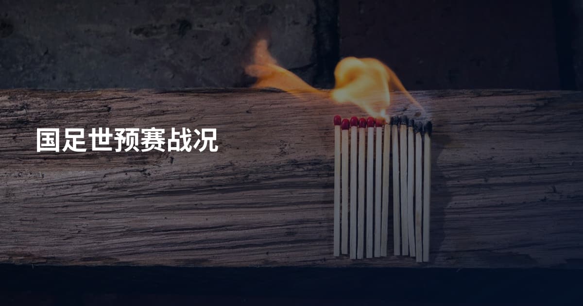 国足世预赛战况