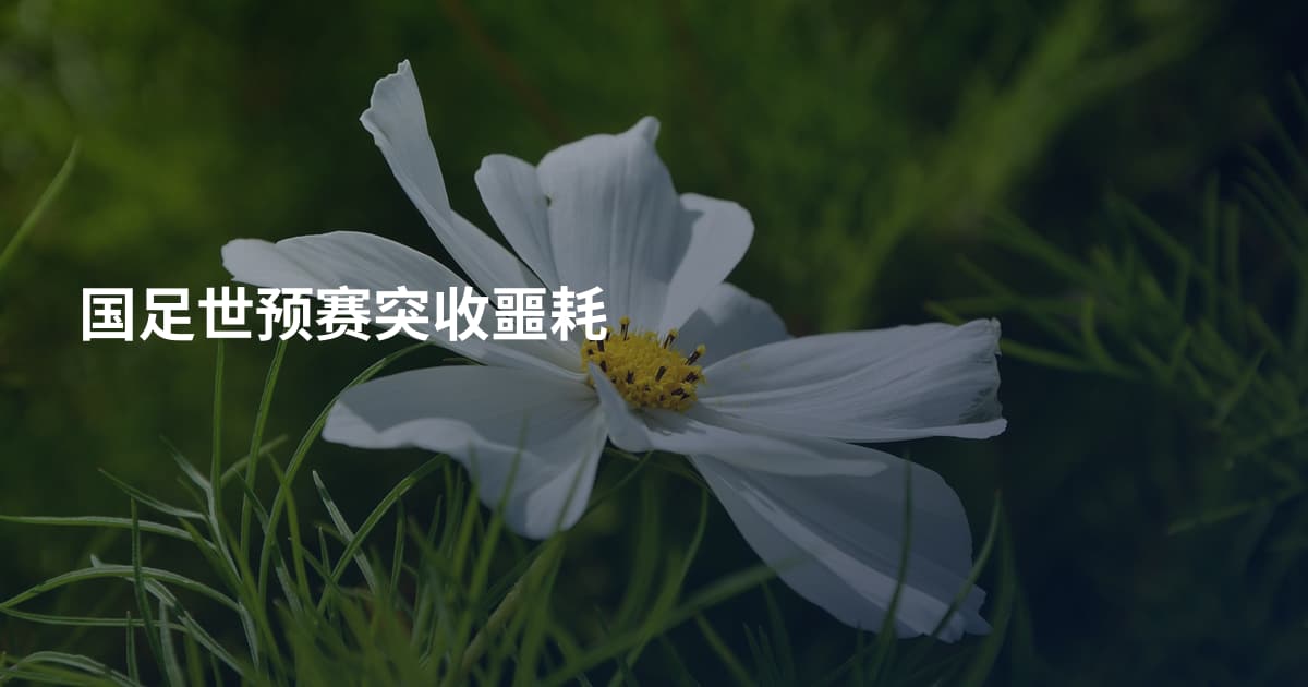 国足世预赛突收噩耗