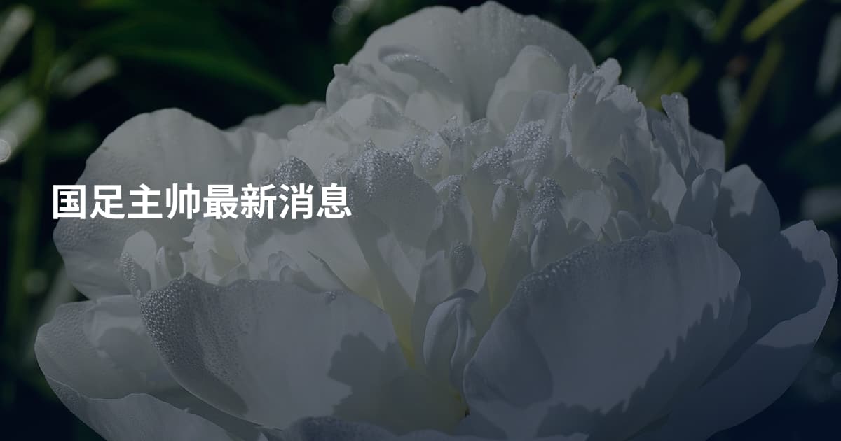 国足主帅最新消息