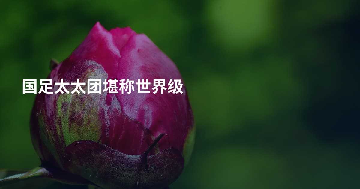 国足太太团堪称世界级