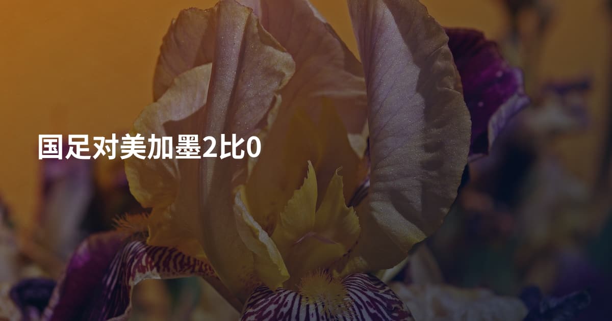 国足对美加墨2比0