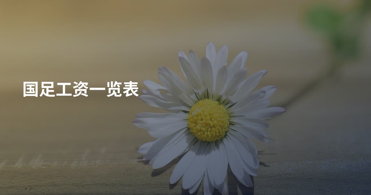 国足工资一览表