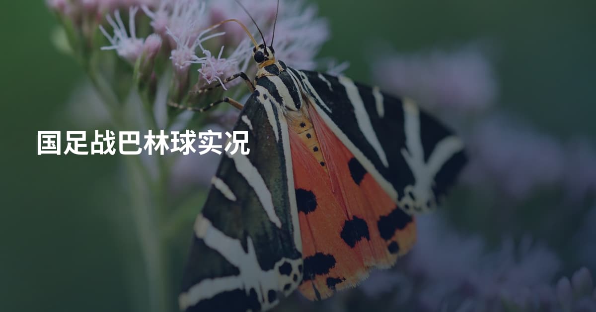 国足战巴林球实况