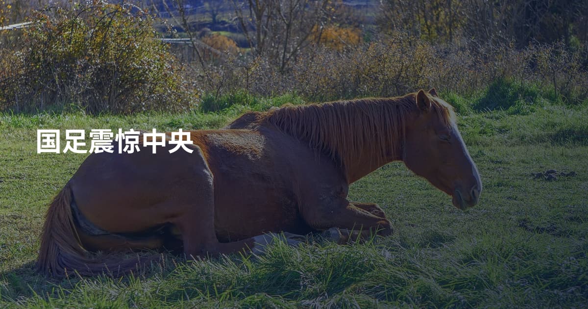 国足震惊中央