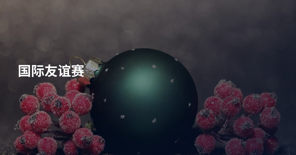 国际友谊赛