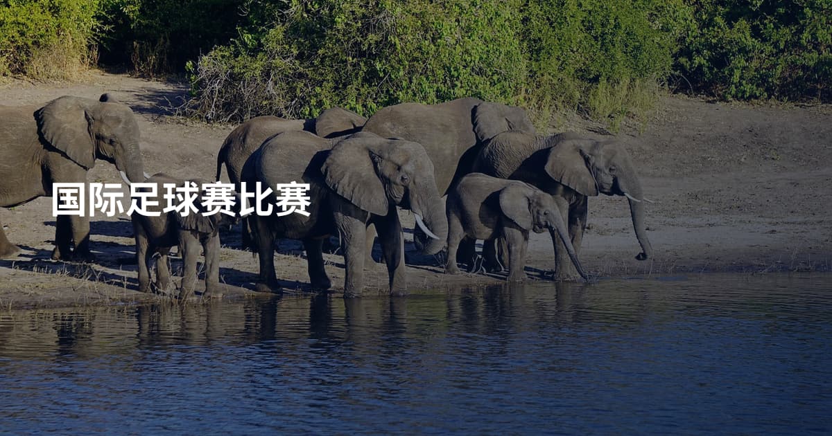 国际足球赛比赛