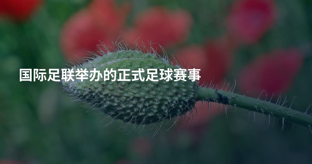 国际足联举办的正式足球赛事