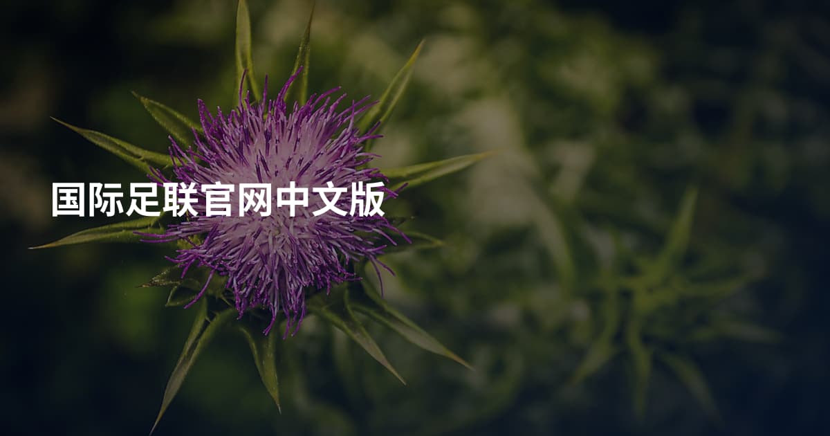 国际足联官网中文版