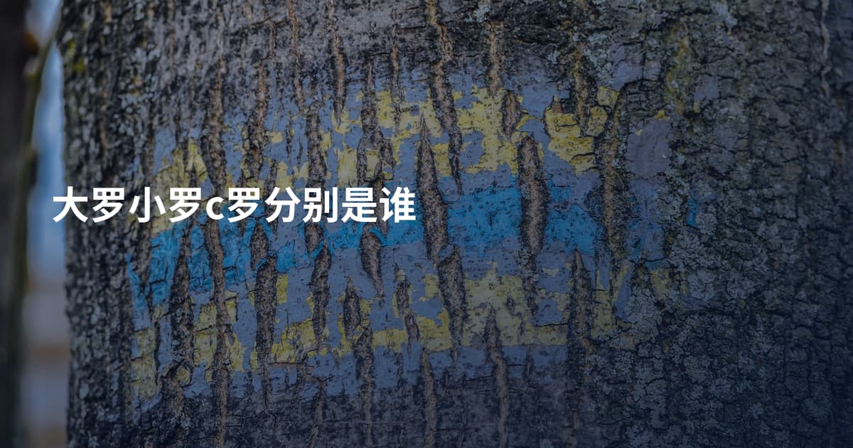 大罗小罗c罗分别是谁