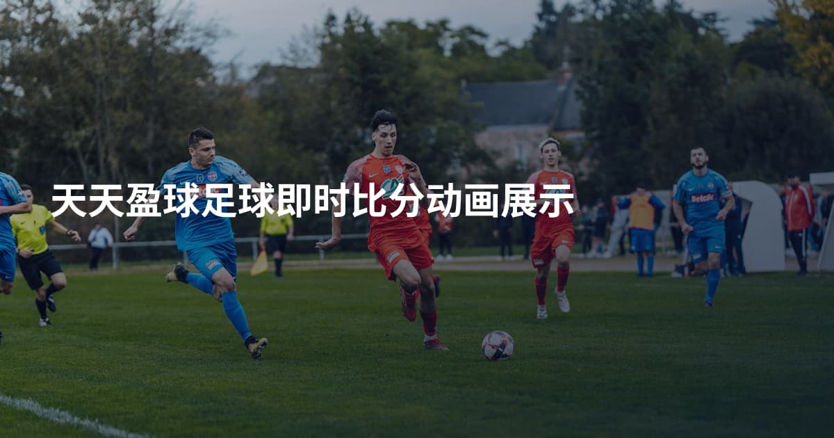 天天盈球足球即时比分动画展示