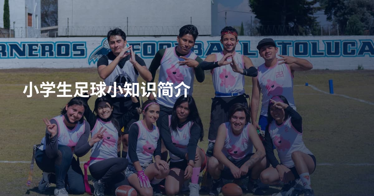 小学生足球小知识简介
