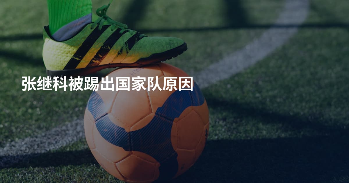 张继科被踢出国家队原因