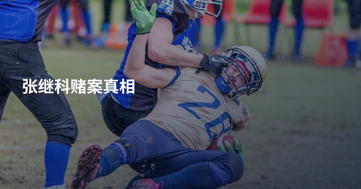 张继科赌案真相
