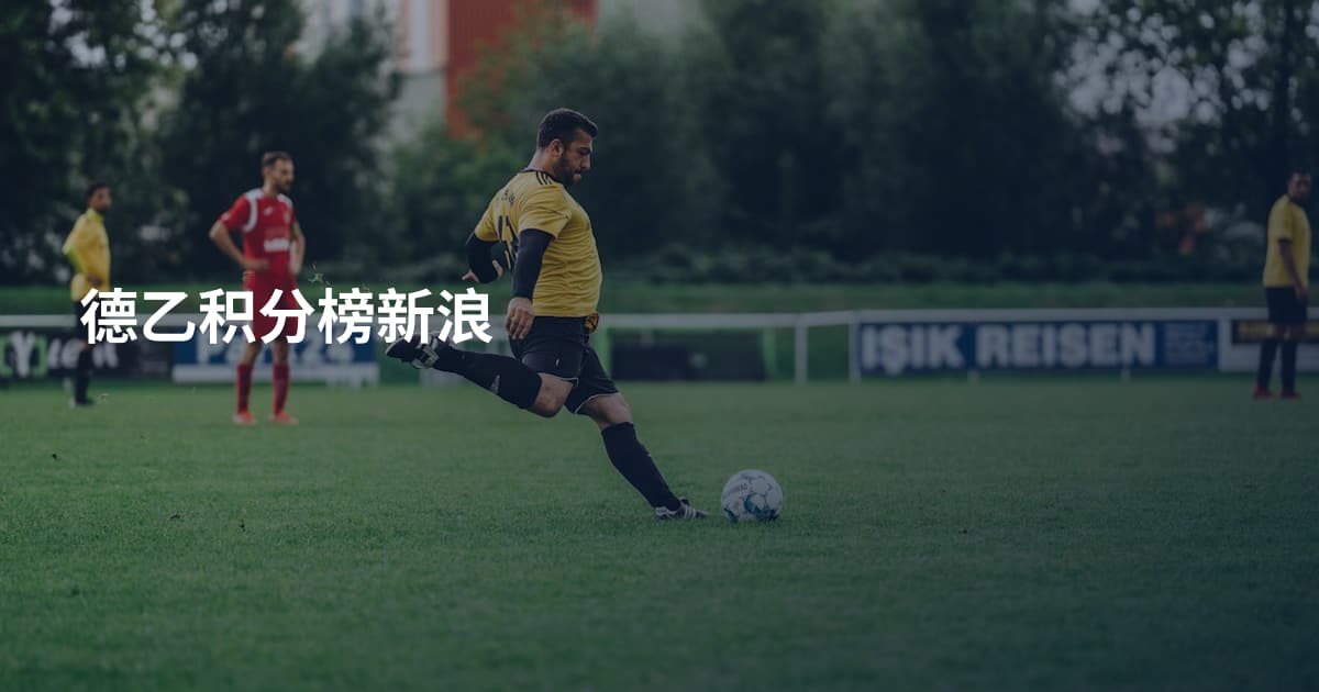 德乙积分榜新浪