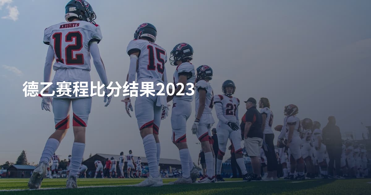 德乙赛程比分结果2023