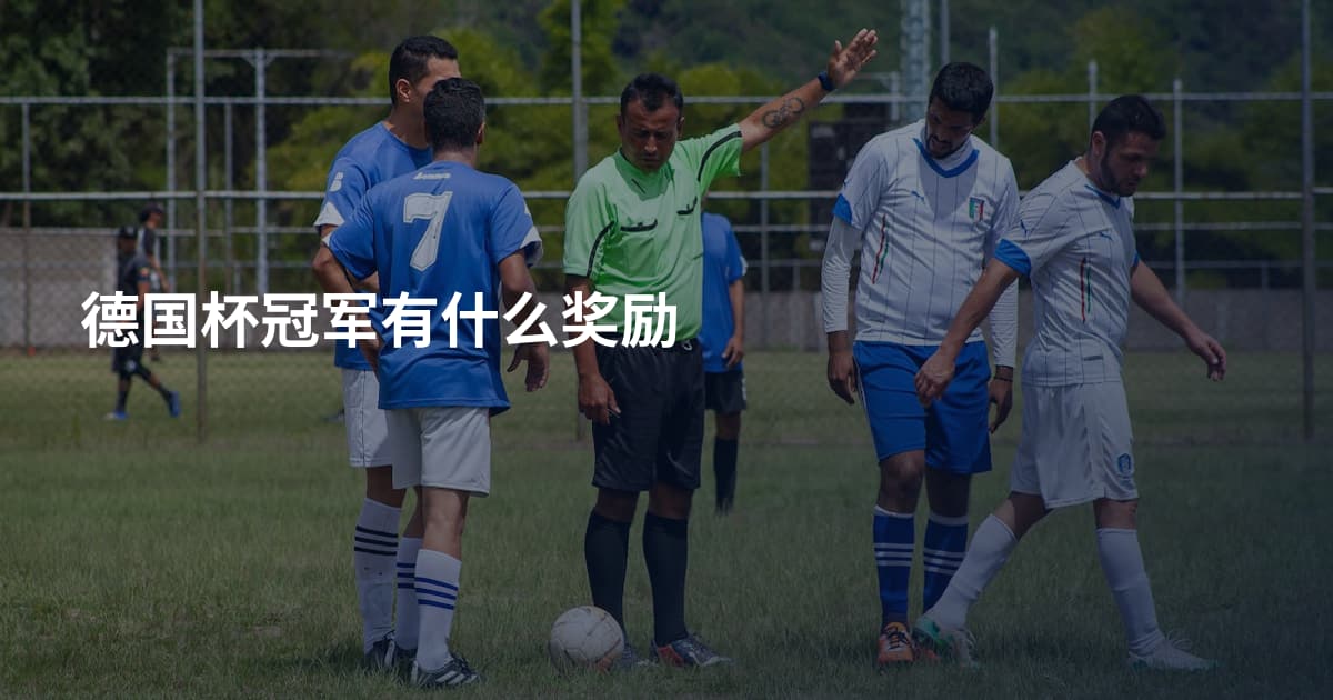 德国杯冠军有什么奖励