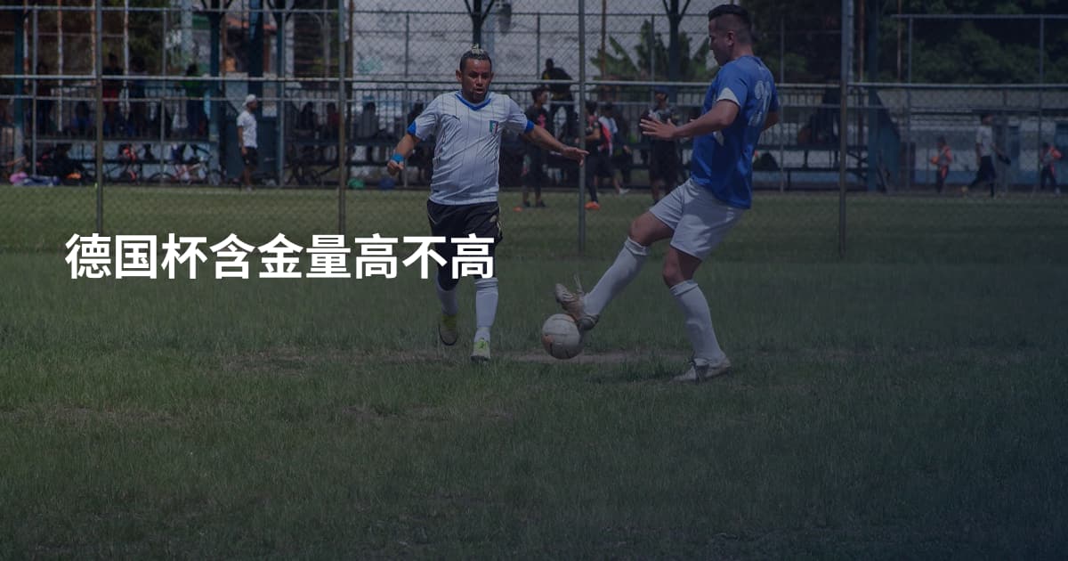 德国杯含金量高不高