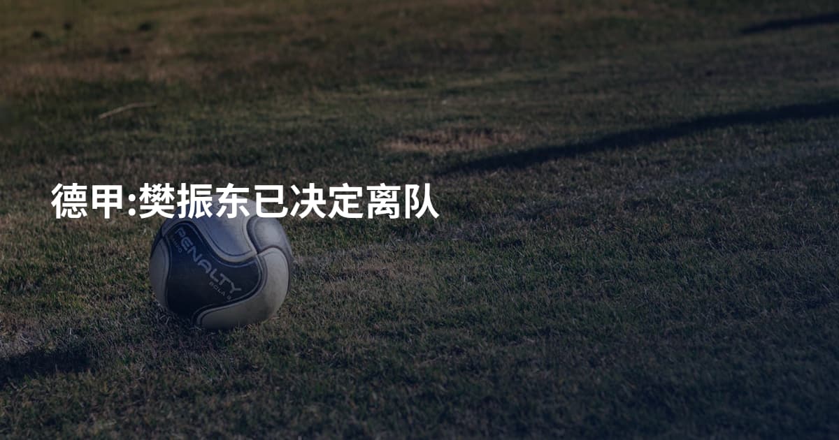 德甲:樊振东已决定离队