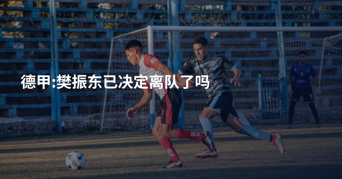 德甲:樊振东已决定离队了吗