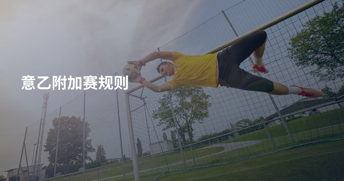 意乙附加赛规则