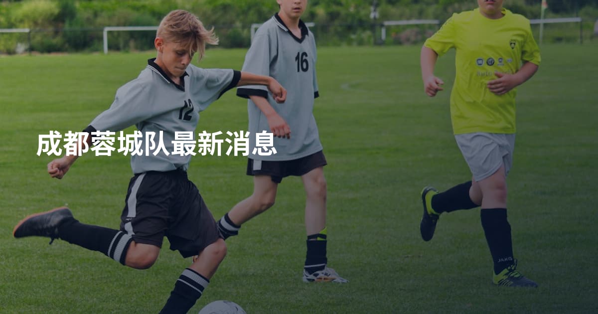 成都蓉城队最新消息