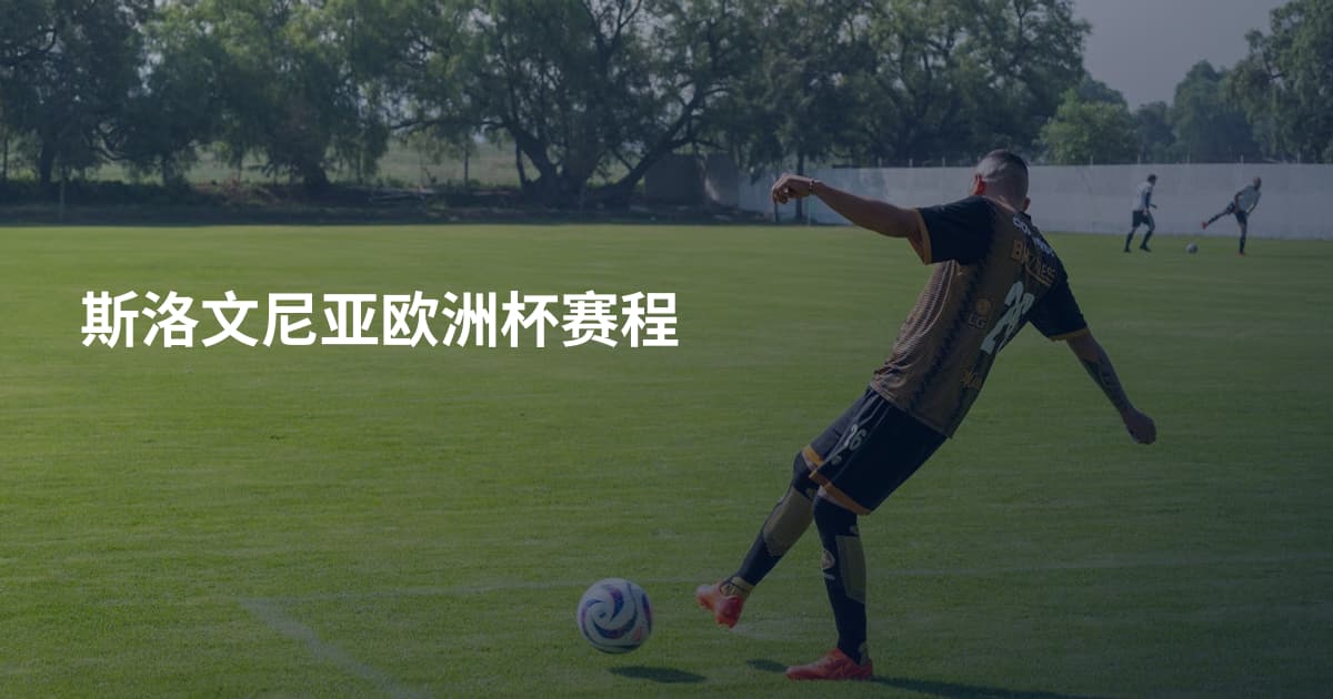斯洛文尼亚欧洲杯赛程