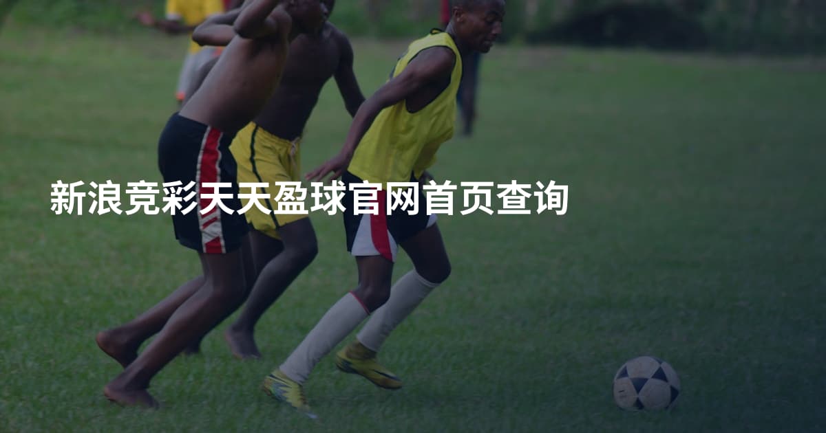 新浪竞彩天天盈球官网首页查询