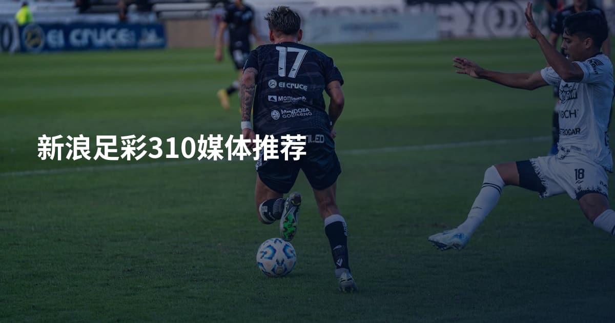 新浪足彩310媒体推荐