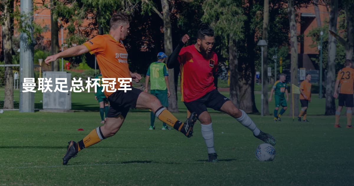 曼联足总杯冠军
