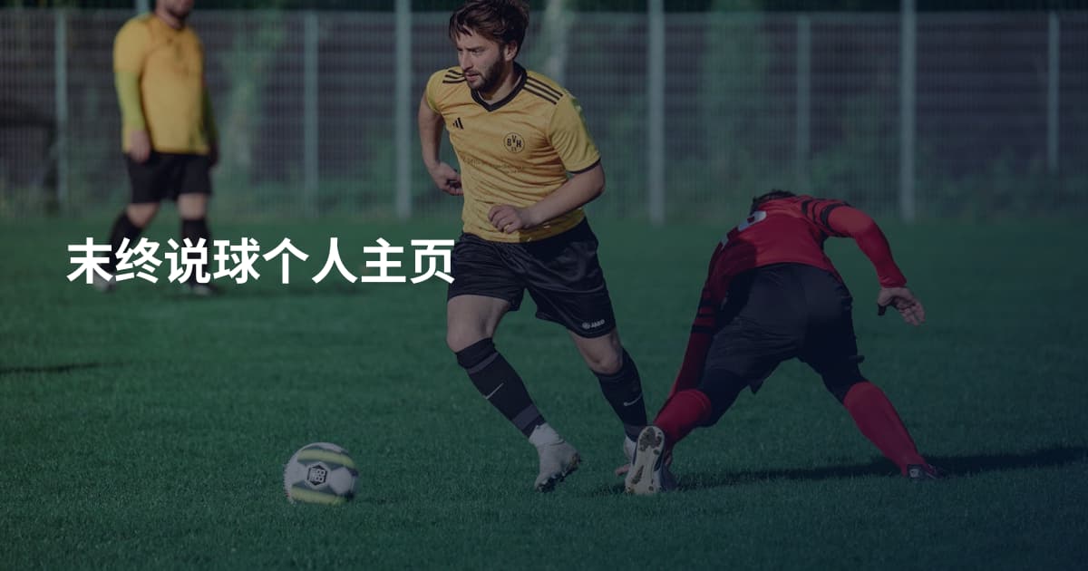 末终说球个人主页