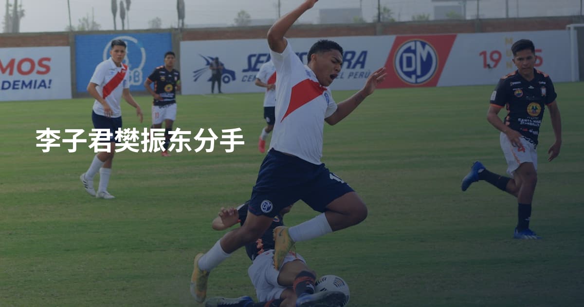李子君樊振东分手