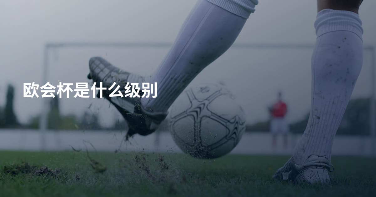 欧会杯是什么级别