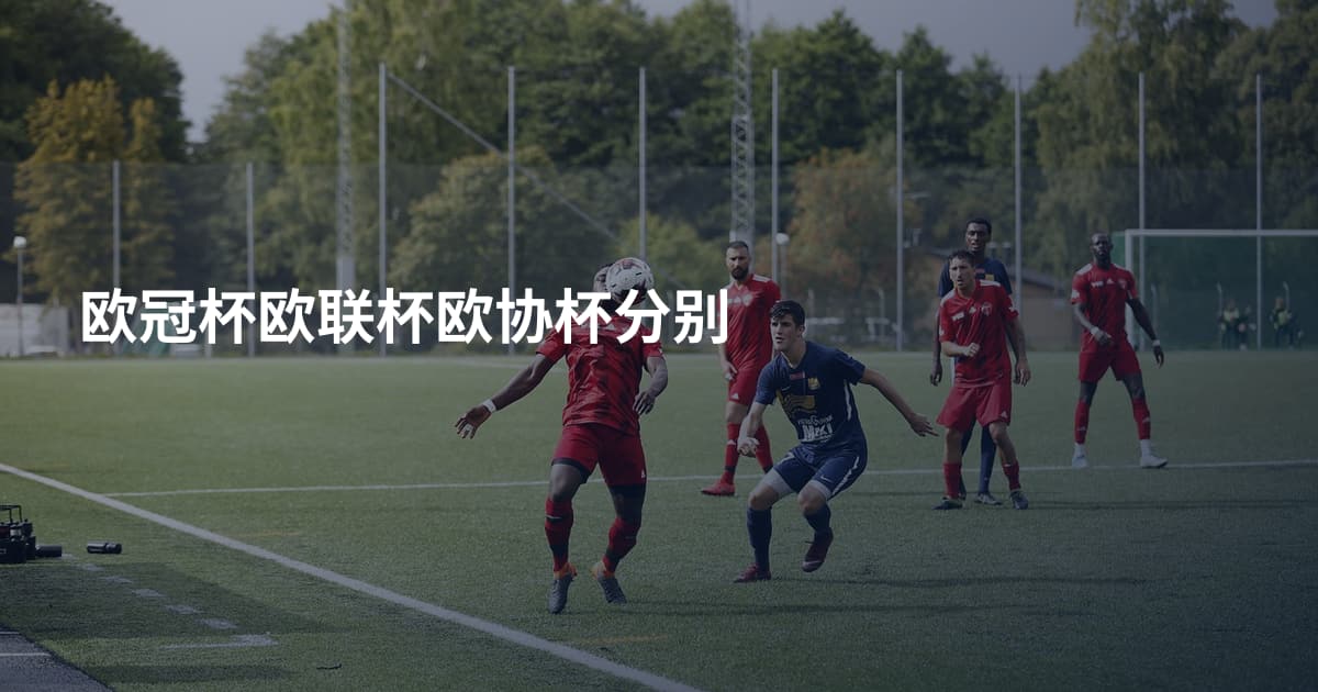 欧冠杯欧联杯欧协杯分别