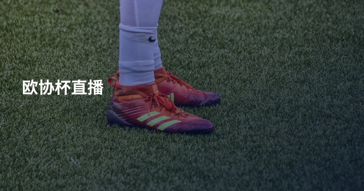 欧协杯直播