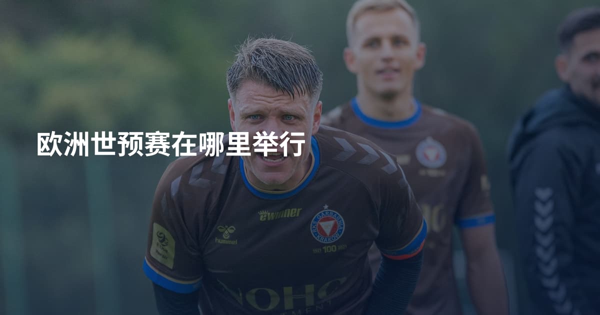欧洲世预赛在哪里举行