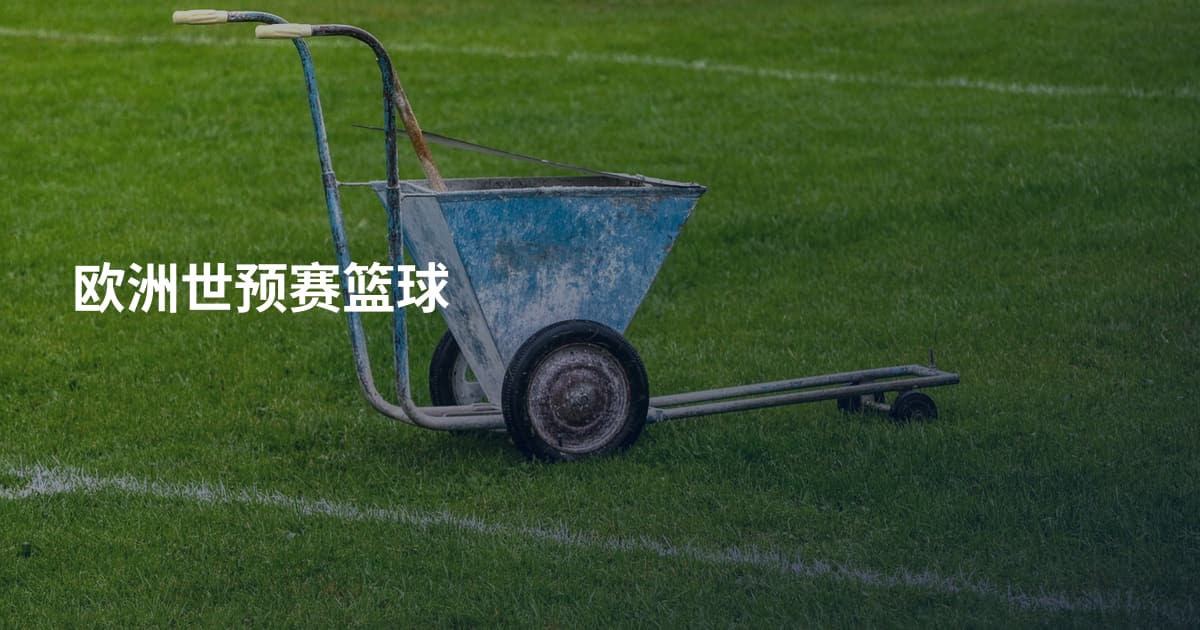 欧洲世预赛篮球