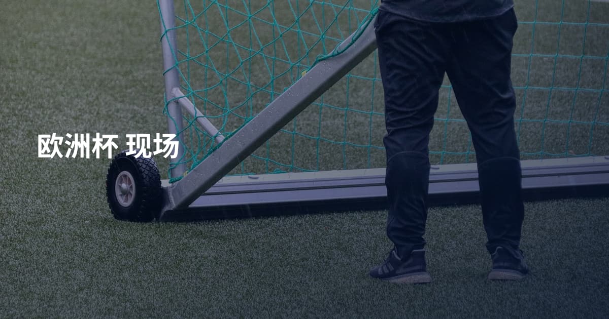 欧洲杯 现场