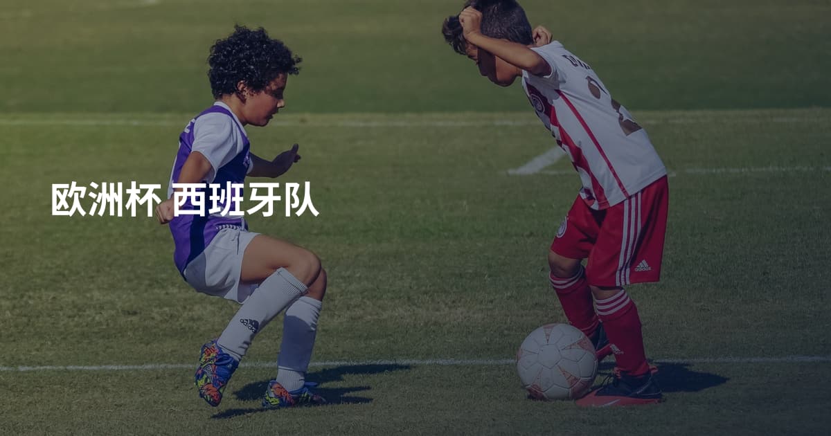 欧洲杯 西班牙队