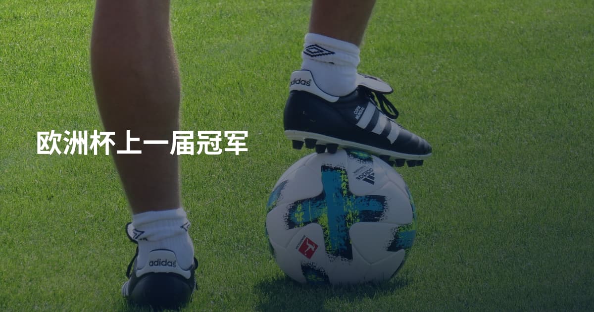 欧洲杯上一届冠军