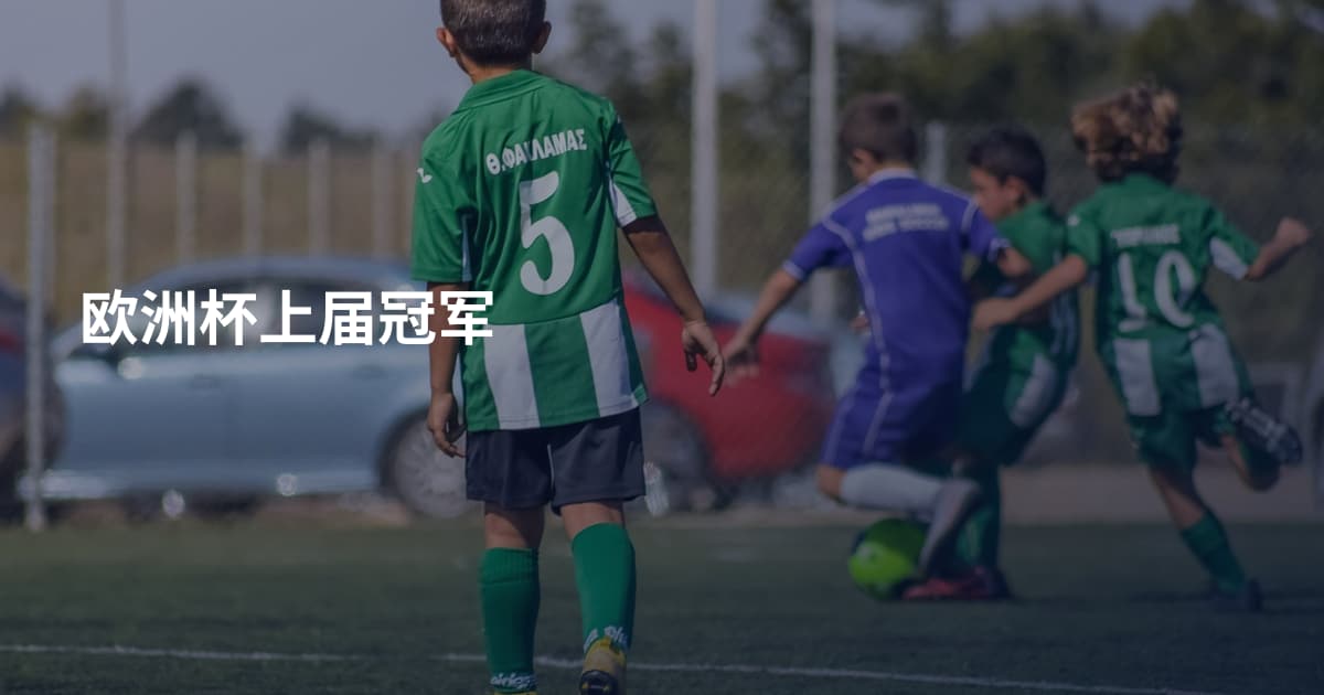 欧洲杯上届冠军