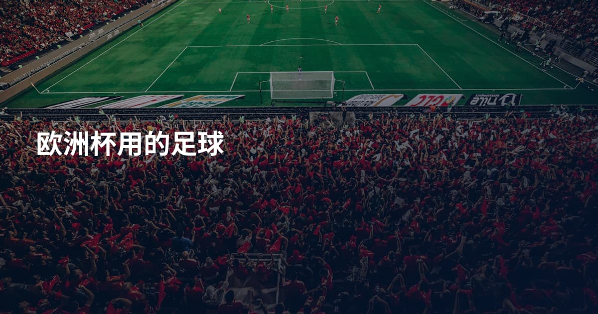 欧洲杯用的足球