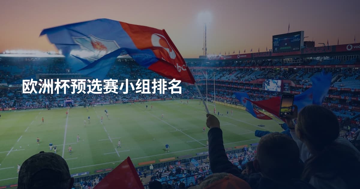 欧洲杯预选赛小组排名
