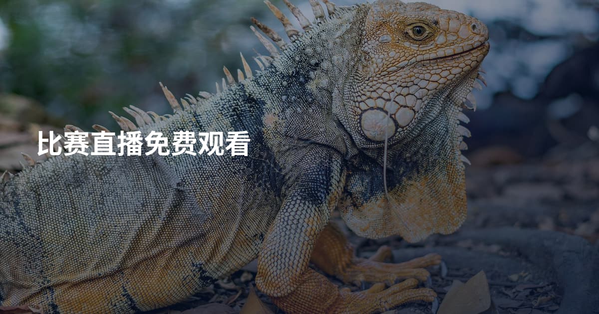 比赛直播免费观看
