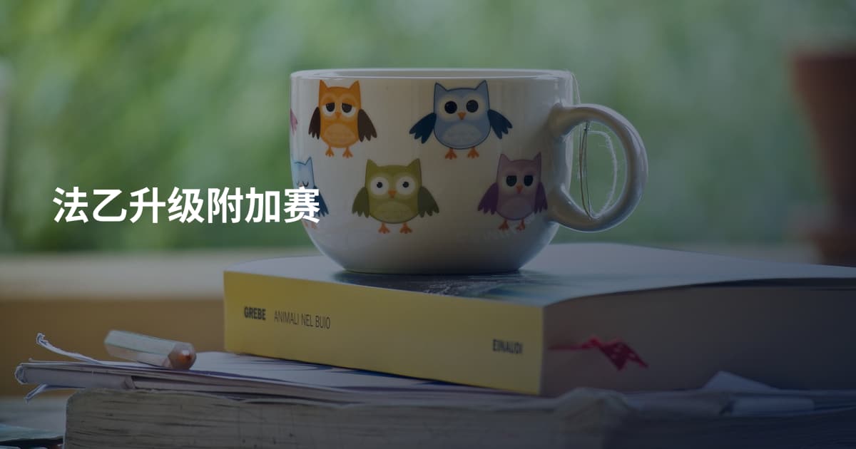 法乙升级附加赛