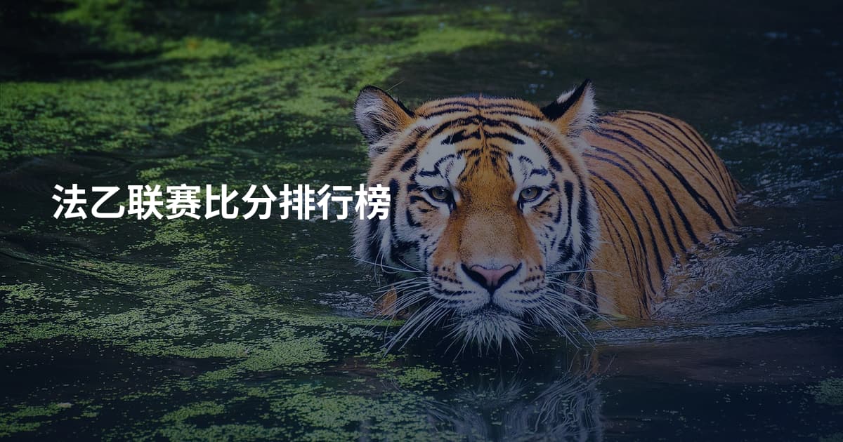 法乙联赛比分排行榜